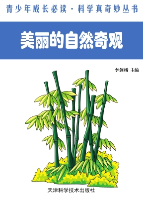 美丽的自然奇观