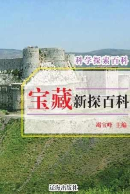 宝藏新探百科
