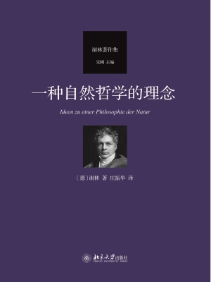 一种自然哲学的理念