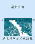 湖北湿地