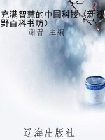 充满智慧的中国科技（新