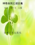 神奇自然之谜总集