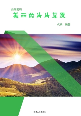 美丽的片片草原
