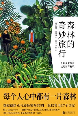 森林的奇妙旅行