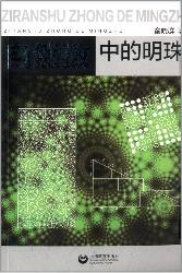 自然数中的明珠