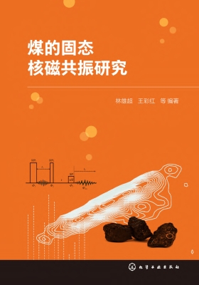 煤的固态核磁共振研究