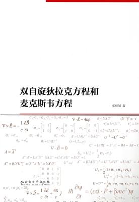 双自旋狄拉克方程和麦