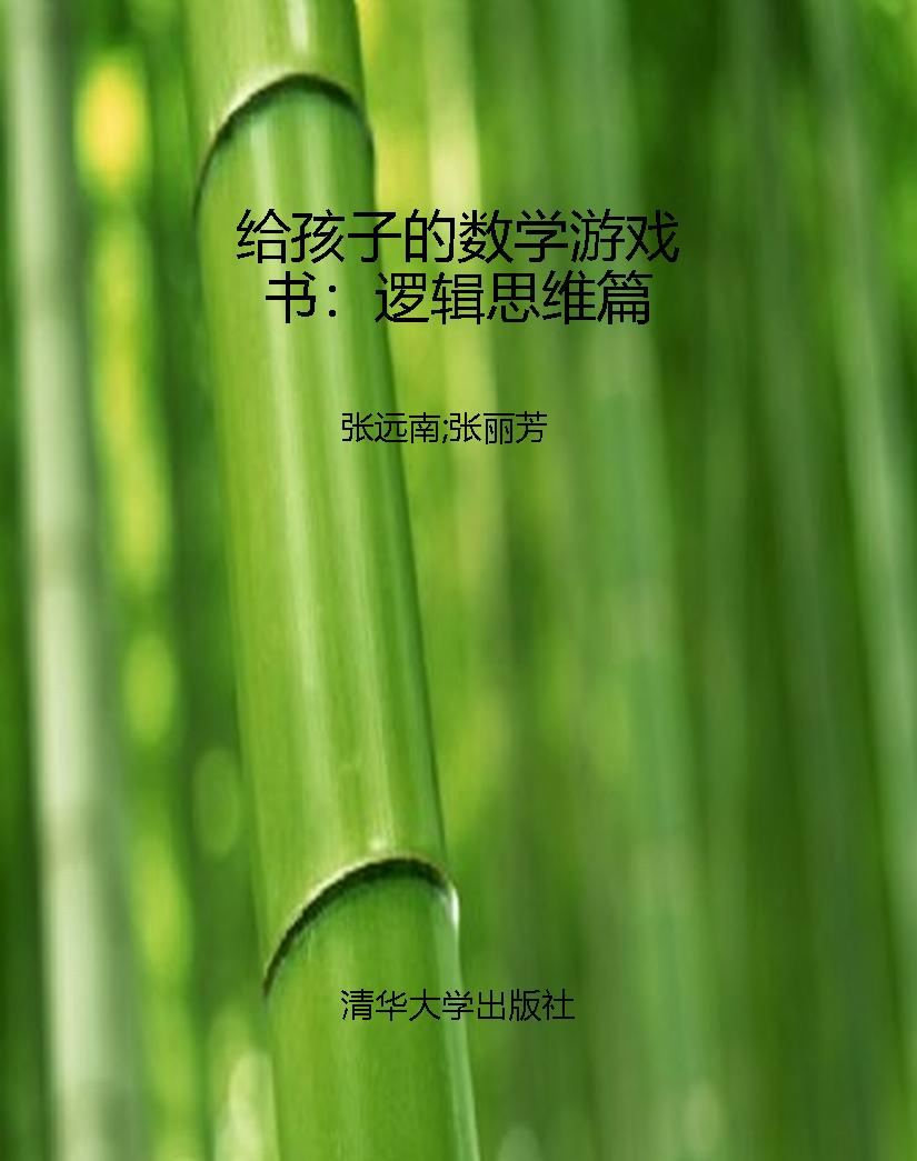 给孩子的数学游戏书：逻