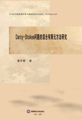 Darcy-Stokes问题的混