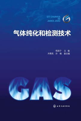 气体纯化和检测技术