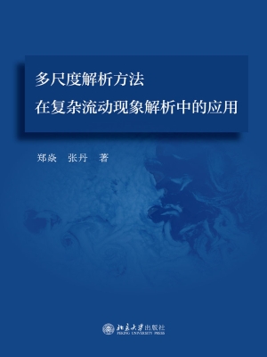 多尺度解析方法在复杂