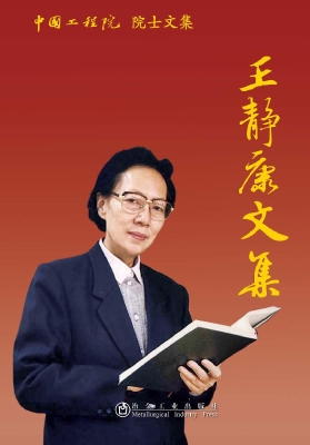 王静康文集