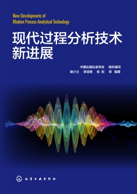 现代过程分析技术新进