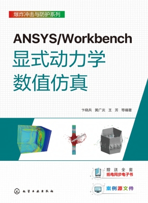 ANSYS/Workbench显式