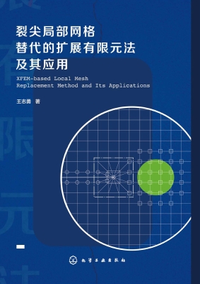 裂尖局部网格替代的扩