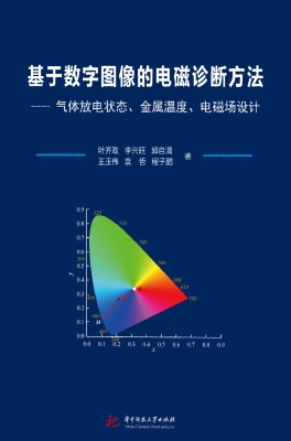 基于数字图像的电磁诊