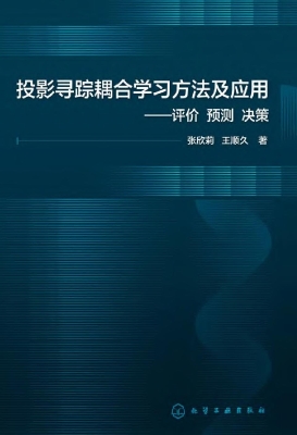 投影寻踪耦合学习方法