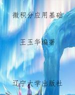 微积分应用基础