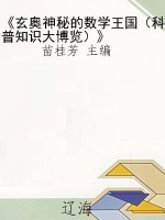 《玄奥神秘的数学王国