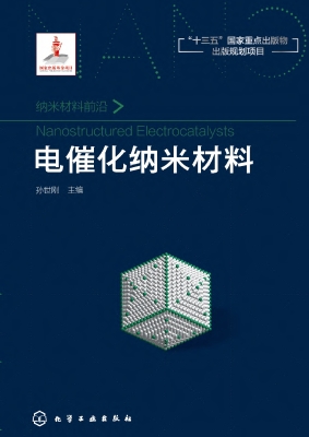 电催化纳米材料