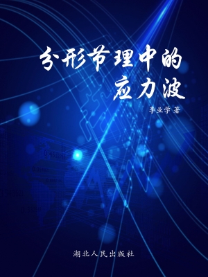 分形节理中的应力波
