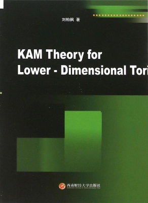 KAM theory for lower