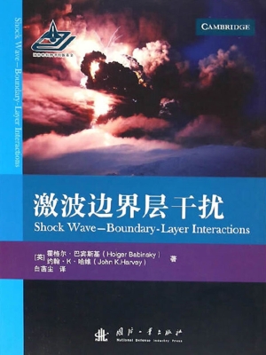 激波边界层干扰