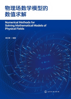 物理场数学模型的数值