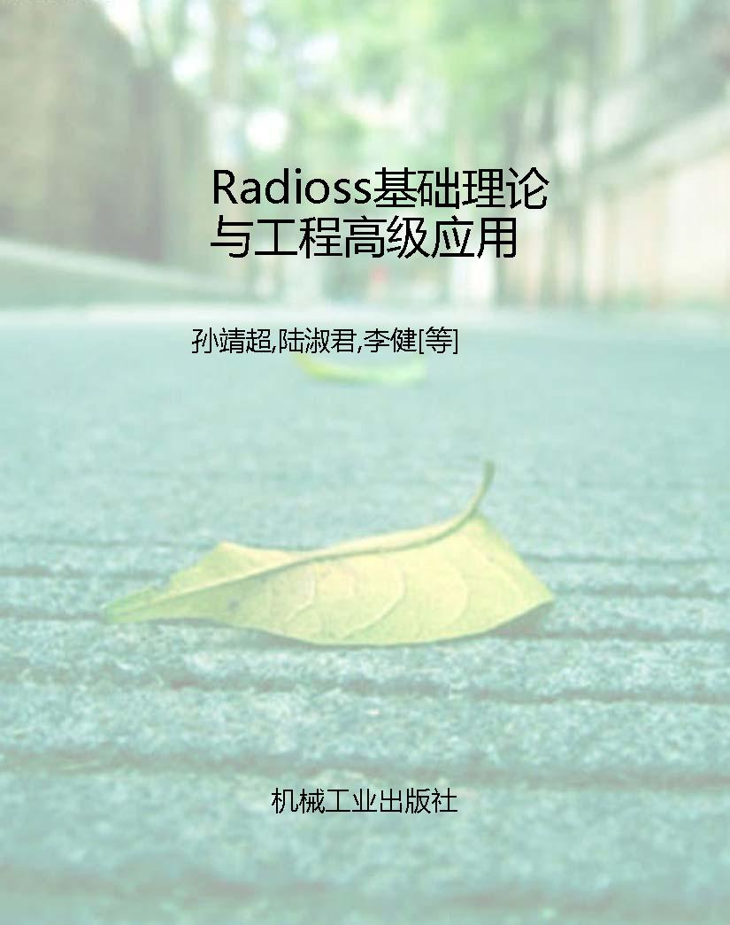 Radioss基础理论与工