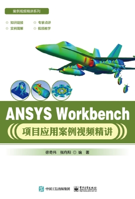 ANSYS Workbench项目