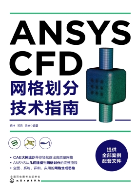 ANSYS CFD网格划分技