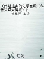 《扑朔迷离的化学宫殿