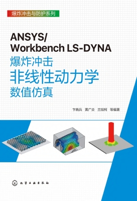 ANSYS/Workbench LS-D
