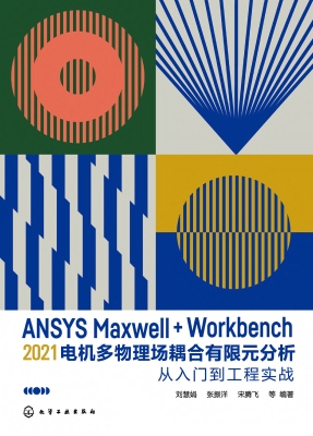 ANSYS Maxwell+Workbe