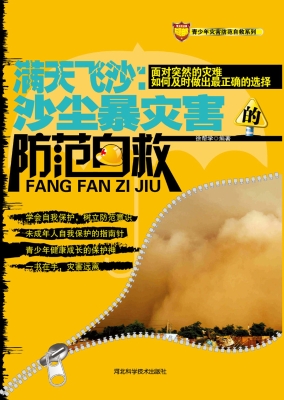 满天飞沙：沙尘暴灾害的
