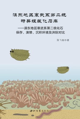 滇东地区寒武系第二统