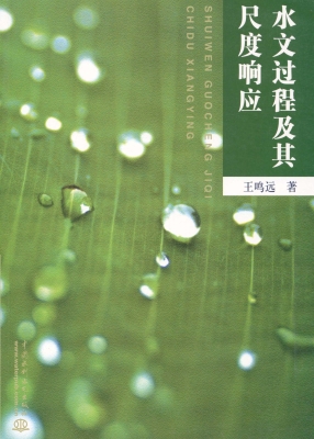 水文过程及其尺度响应