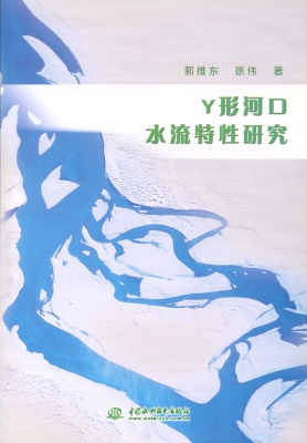 Y形河口水流特性研究