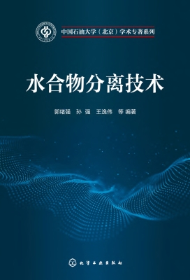 水合物分离技术