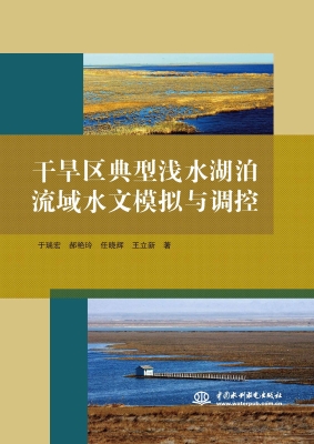 干旱区典型浅水湖泊流