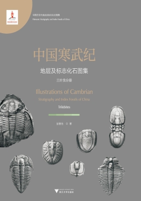 中国寒武纪地层及标志
