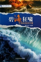 碧海狂啸：可怕的海洋灾