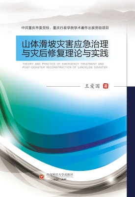 山体滑坡灾害应急治理