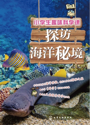 小学生趣味科学课——