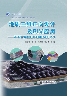 地质三维正向设计及BI
