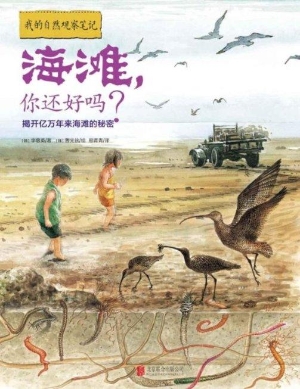 海滩，你还好吗？