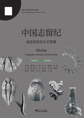 中国志留纪地层及标志