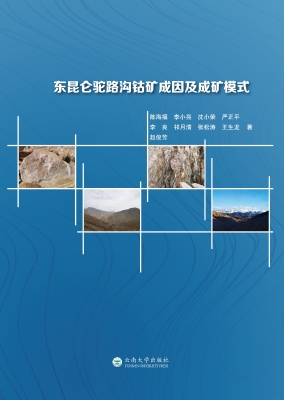 东昆仑驼路沟钴矿成因