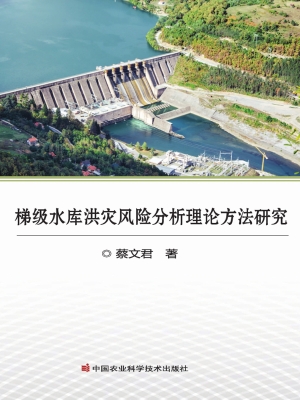 梯级水库洪灾风险分析