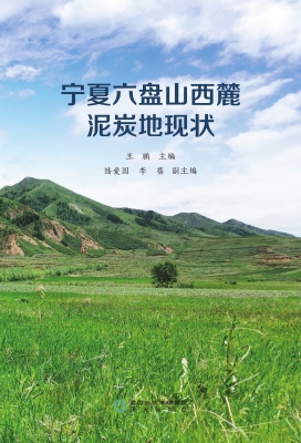 宁夏六盘山西麓泥炭地